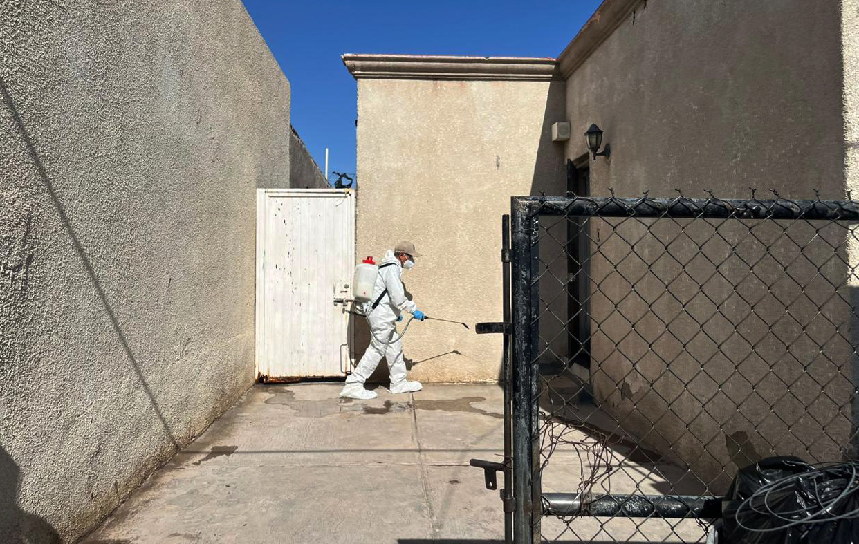 Refuerzan fumigación en colonia Hidalgo tras muerte de mujer por presunto caso de rickettsia
