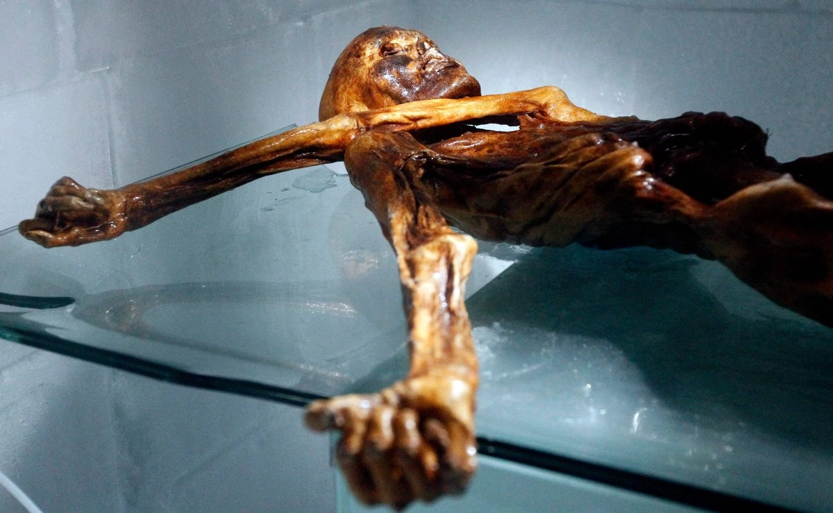 Del cuerpo de una momia de 5 mil años nace un pan: científicos reviven antigua levadura hallada en Ötzi